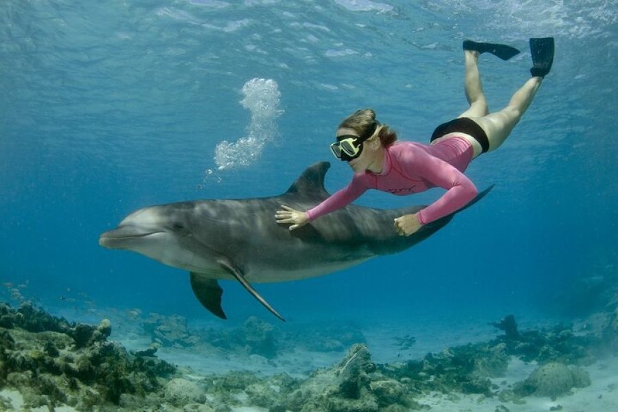 DOLPHIN HOUSE SNORKELING IN HURGHADA