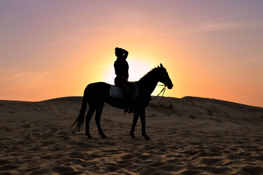 HORSE RIDING IN SHARM EL SHEIKH