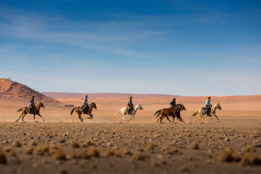 HORSE RIDING